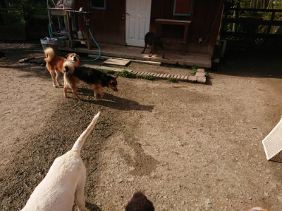 f:id:roukenhome-ann:20190504131120j:plain
