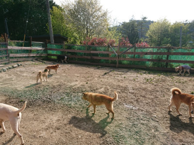 f:id:roukenhome-ann:20190504131142j:plain