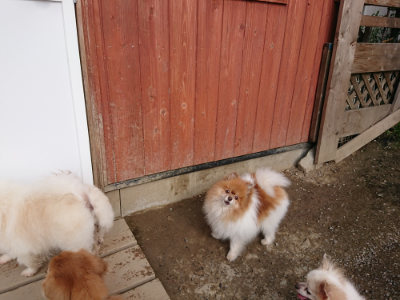 f:id:roukenhome-ann:20190504131240j:plain