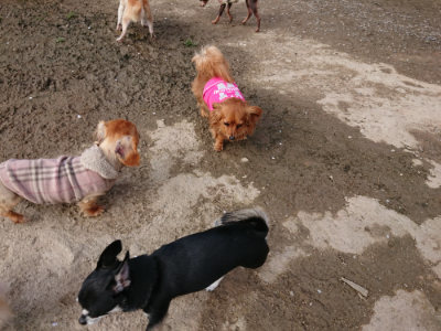 f:id:roukenhome-ann:20190504131258j:plain