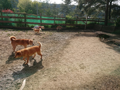f:id:roukenhome-ann:20190504131311j:plain