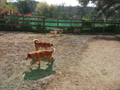 f:id:roukenhome-ann:20190504131317j:plain