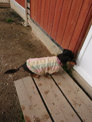 f:id:roukenhome-ann:20190504131322j:plain