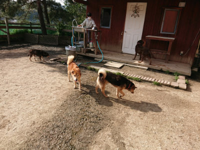 f:id:roukenhome-ann:20190504131335j:plain