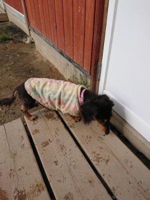 f:id:roukenhome-ann:20190504131358j:plain