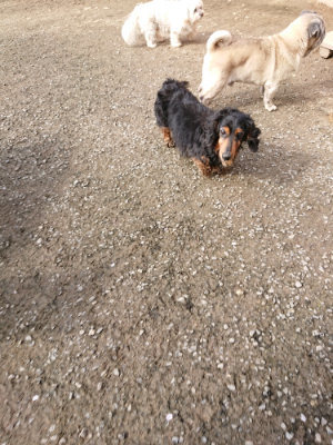 f:id:roukenhome-ann:20190504131448j:plain