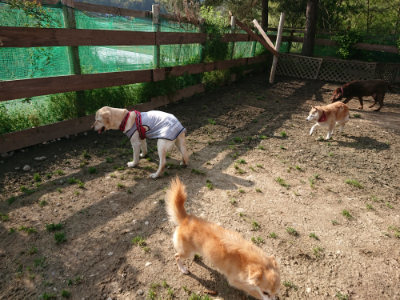 f:id:roukenhome-ann:20190504131524j:plain