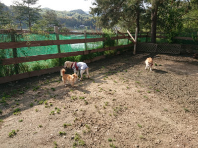 f:id:roukenhome-ann:20190504131534j:plain