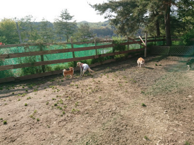 f:id:roukenhome-ann:20190504131557j:plain