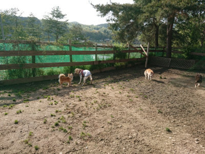 f:id:roukenhome-ann:20190504131604j:plain
