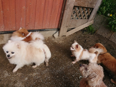 f:id:roukenhome-ann:20190504131613j:plain