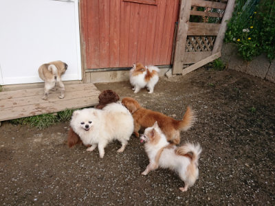 f:id:roukenhome-ann:20190504131632j:plain