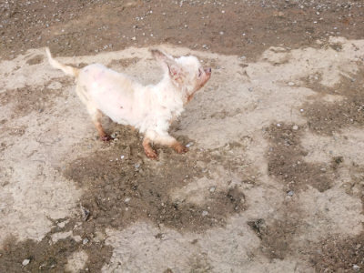 f:id:roukenhome-ann:20190504131651j:plain