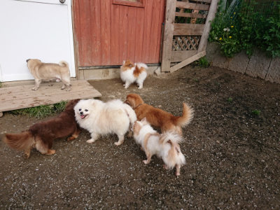 f:id:roukenhome-ann:20190504131702j:plain