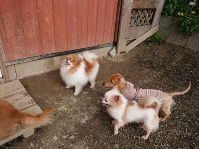 f:id:roukenhome-ann:20190504131756j:plain