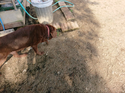 f:id:roukenhome-ann:20190504131924j:plain