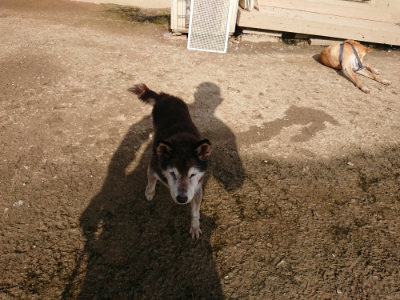 f:id:roukenhome-ann:20190504131948j:plain