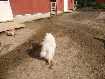 f:id:roukenhome-ann:20190504132003j:plain