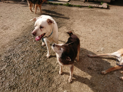f:id:roukenhome-ann:20190504132111j:plain