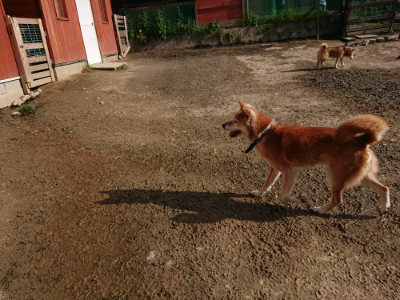 f:id:roukenhome-ann:20190504132144j:plain