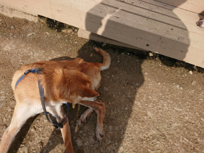 f:id:roukenhome-ann:20190504132150j:plain