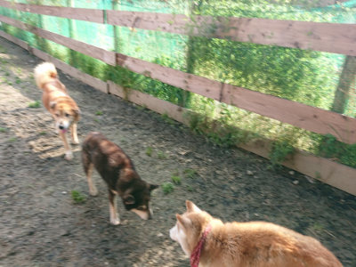 f:id:roukenhome-ann:20190504132212j:plain