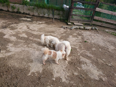 f:id:roukenhome-ann:20190504132226j:plain