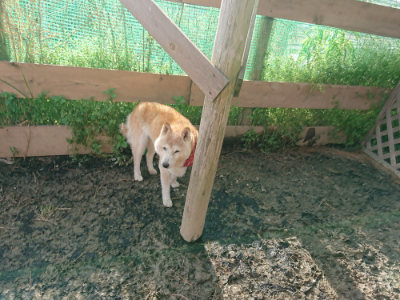 f:id:roukenhome-ann:20190504132244j:plain