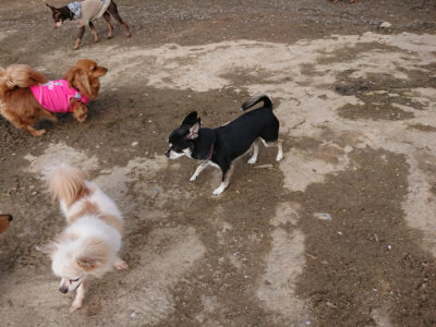 f:id:roukenhome-ann:20190504132319j:plain