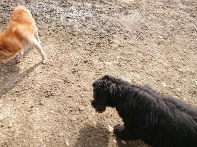 f:id:roukenhome-ann:20190504132553j:plain