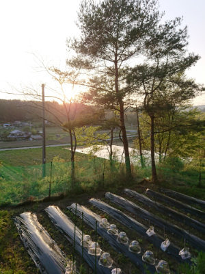 f:id:roukenhome-ann:20190504132751j:plain