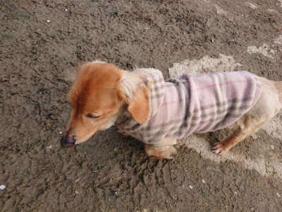 f:id:roukenhome-ann:20190504132913j:plain