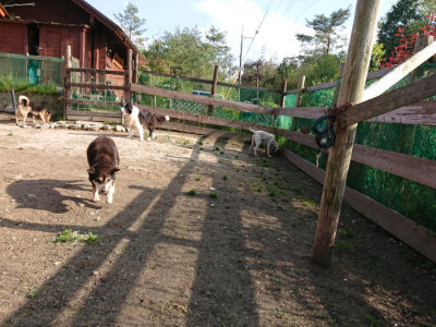 f:id:roukenhome-ann:20190504132933j:plain
