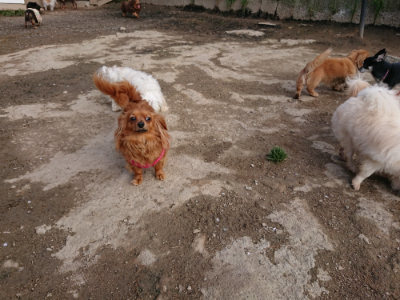 f:id:roukenhome-ann:20190504133004j:plain