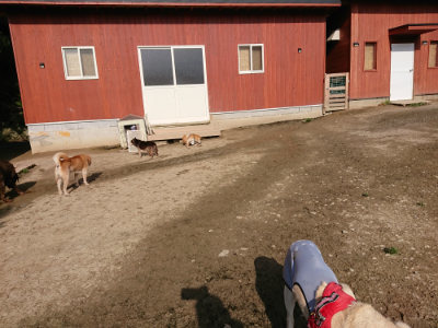 f:id:roukenhome-ann:20190504133032j:plain