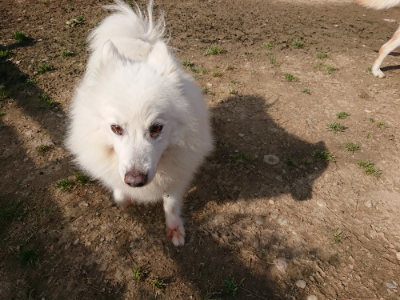 f:id:roukenhome-ann:20190504133106j:plain