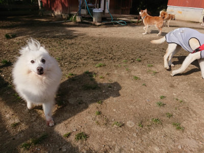 f:id:roukenhome-ann:20190504133133j:plain