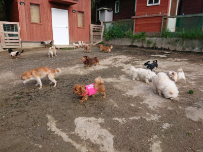f:id:roukenhome-ann:20190504133138j:plain