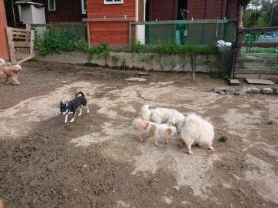 f:id:roukenhome-ann:20190504133151j:plain