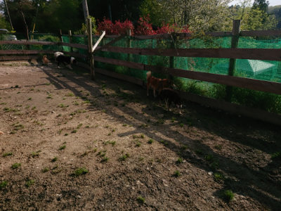 f:id:roukenhome-ann:20190504133210j:plain