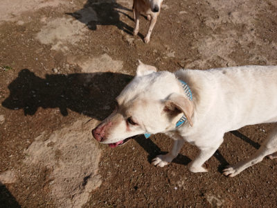 f:id:roukenhome-ann:20190504133253j:plain
