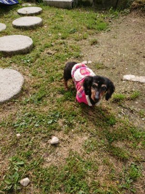 f:id:roukenhome-ann:20190504152745j:plain