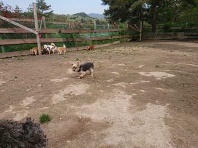 f:id:roukenhome-ann:20190504152810j:plain