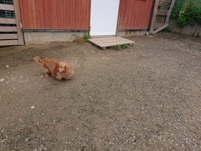 f:id:roukenhome-ann:20190504152851j:plain