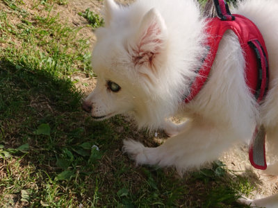 f:id:roukenhome-ann:20190506084839j:plain f:id:roukenhome-ann:20190506084839j:plain