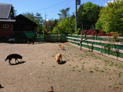 f:id:roukenhome-ann:20190507121041j:plain