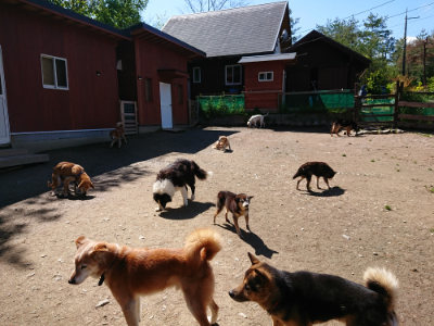 f:id:roukenhome-ann:20190507121047j:plain