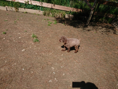 f:id:roukenhome-ann:20190507121055j:plain