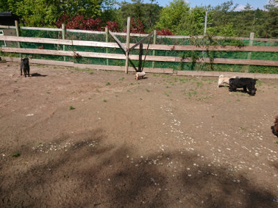 f:id:roukenhome-ann:20190507121100j:plain