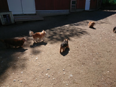 f:id:roukenhome-ann:20190507121105j:plain